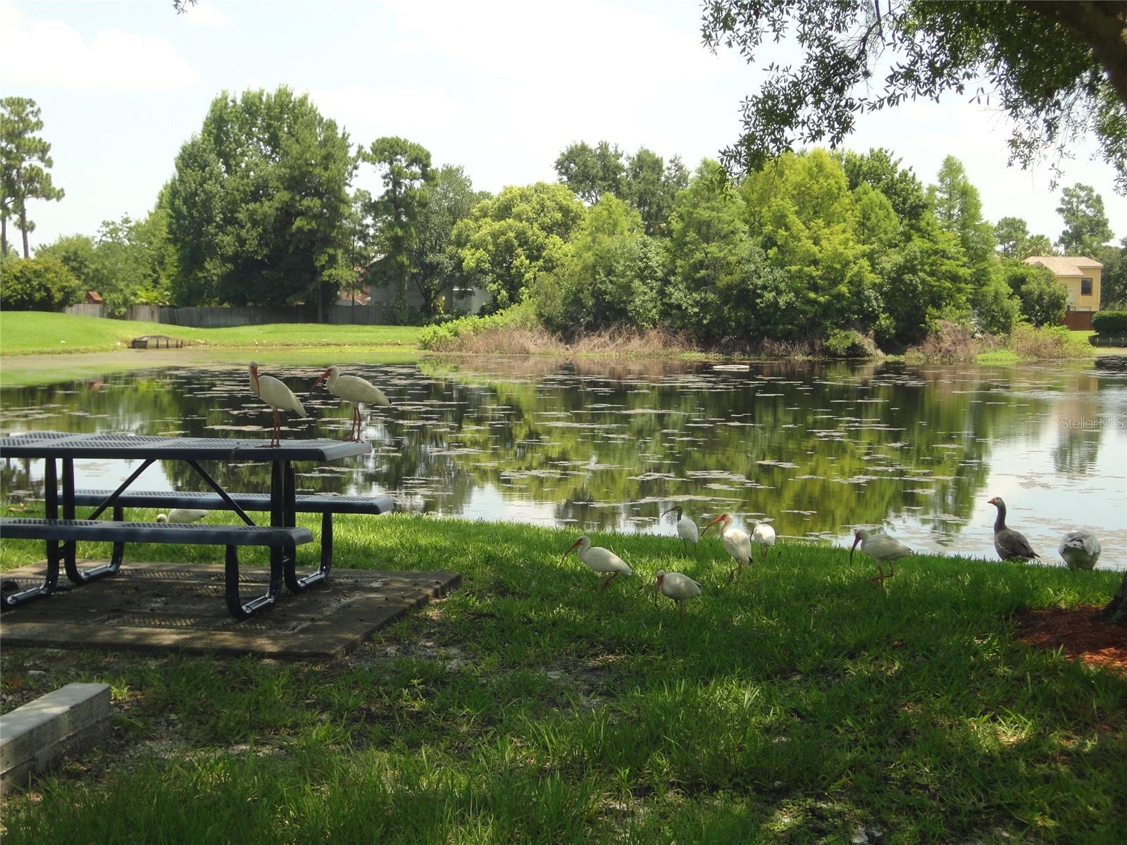 1002 GWYN CIR, OVIEDO, FL, 32765