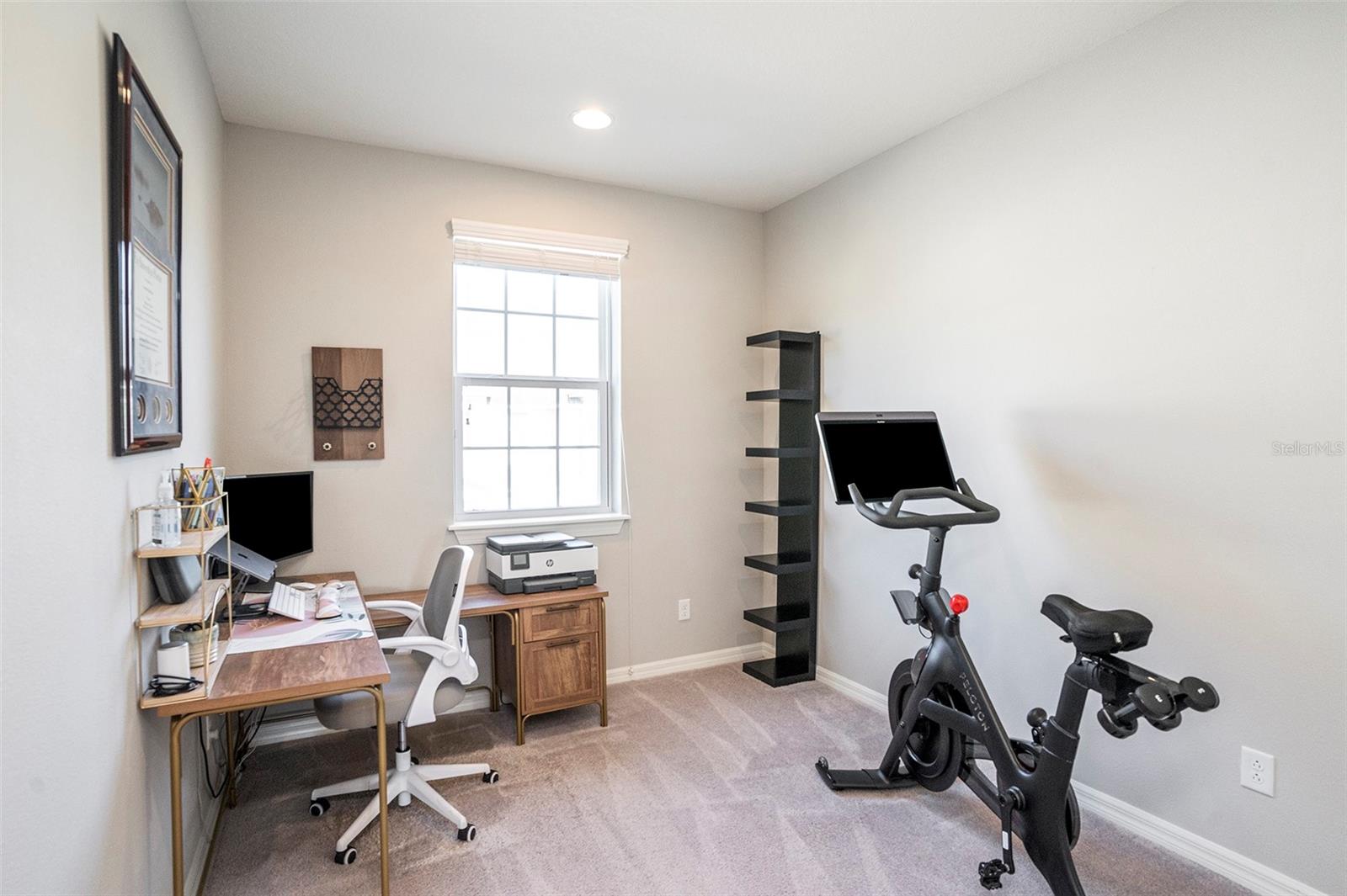 1603 VINEYARD LN, OLDSMAR, FL, 34677