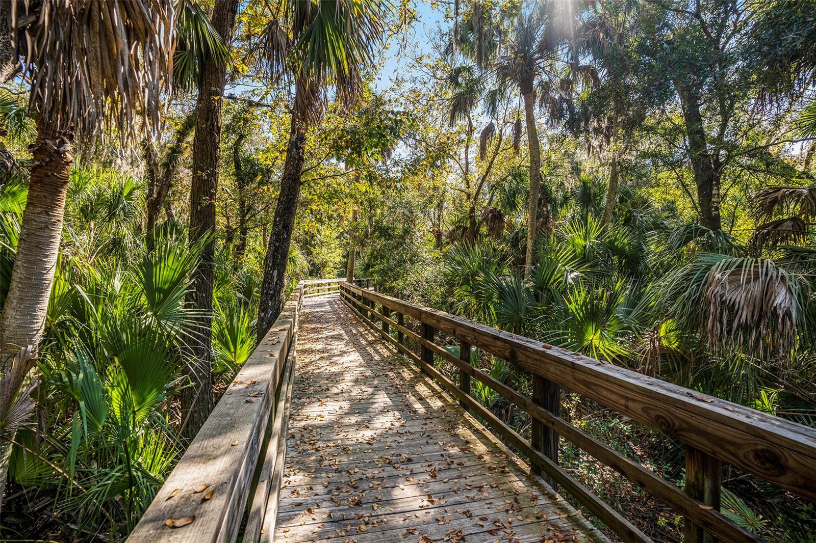 1603 VINEYARD LN, OLDSMAR, FL, 34677