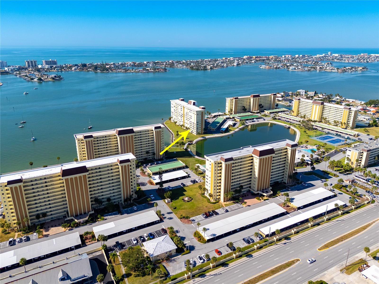 4775 COVE CIR #203, ST PETERSBURG, FL, 33708