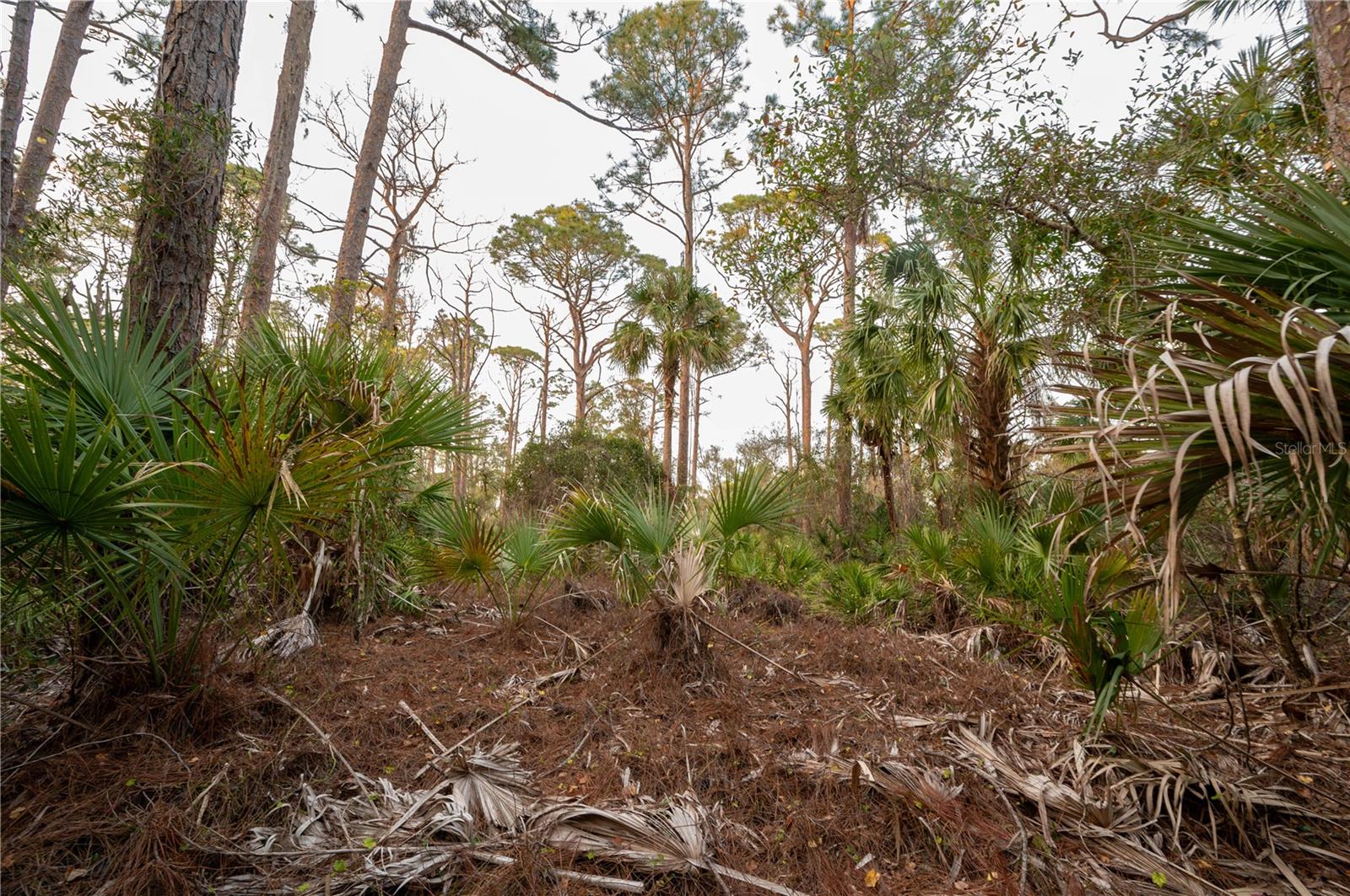 KAMSLER AVE, NORTH PORT, FL, 34286