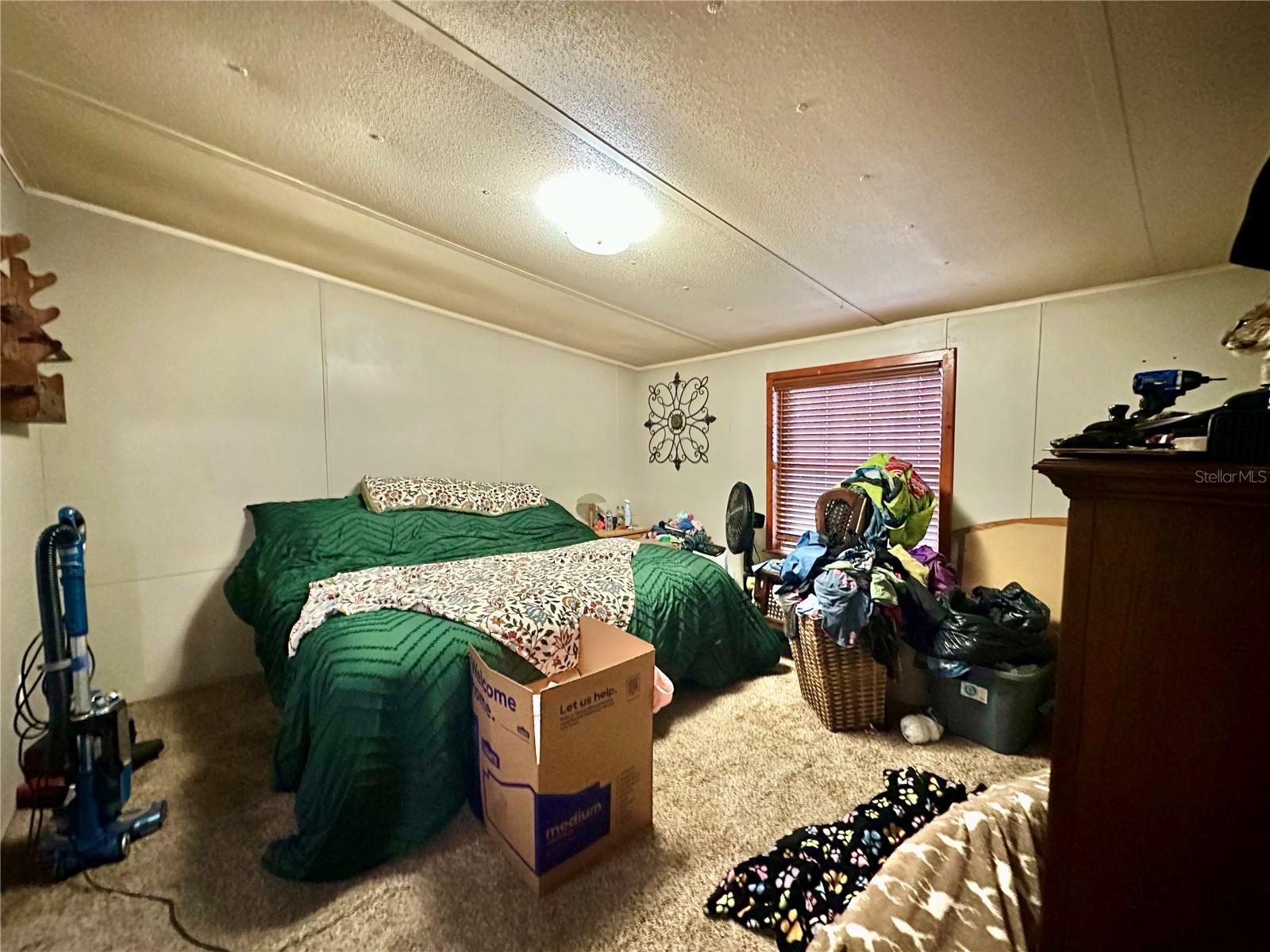 16815 NE 41ST CT, CITRA, FL, 32113