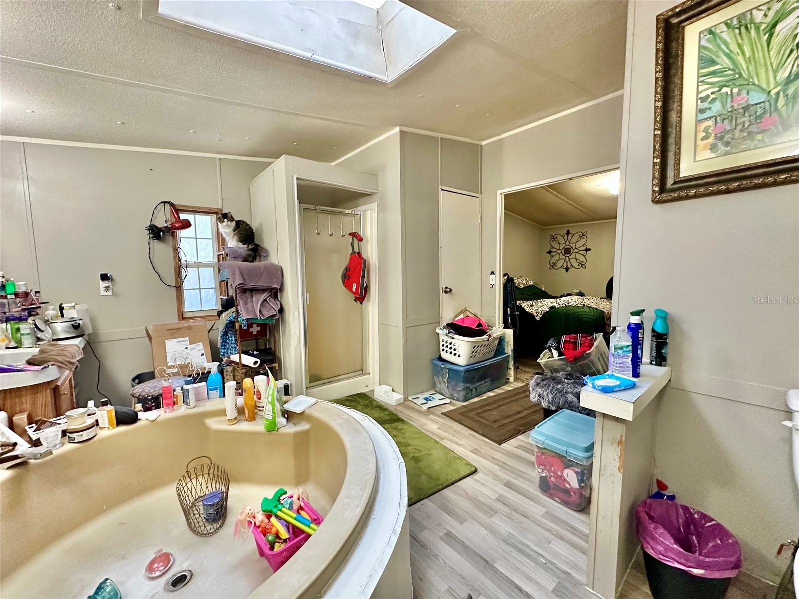 16815 NE 41ST CT, CITRA, FL, 32113