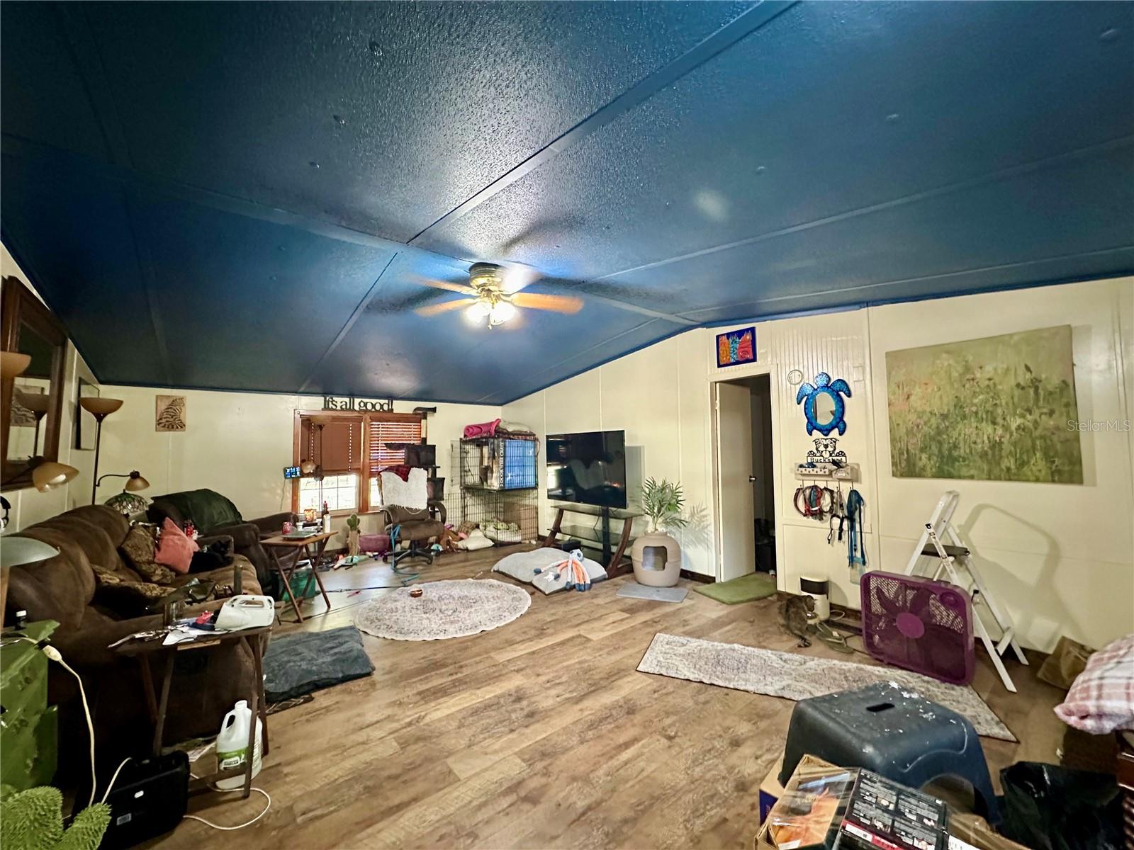 16815 NE 41ST CT, CITRA, FL, 32113