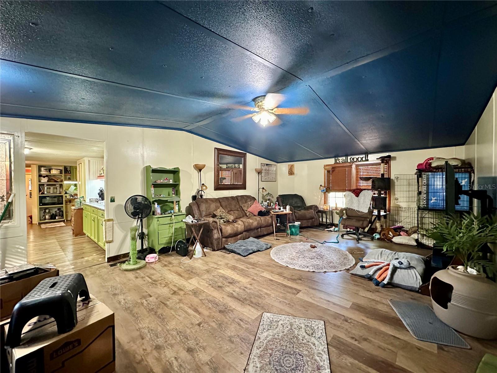 16815 NE 41ST CT, CITRA, FL, 32113