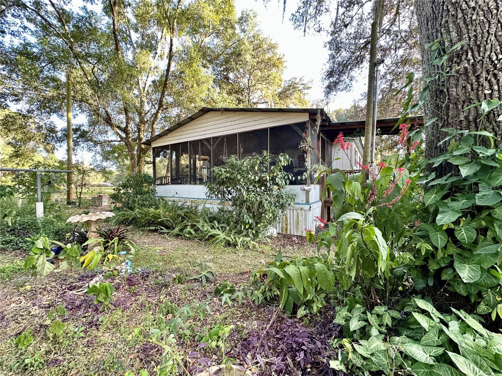 16815 NE 41ST CT, CITRA, FL, 32113