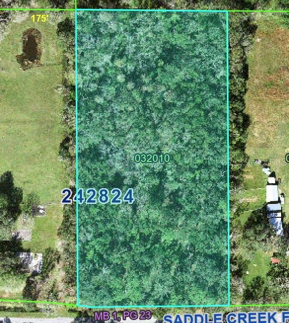 4520 E SADDLE CREEK FARM RD, LAKELAND, FL, 33801