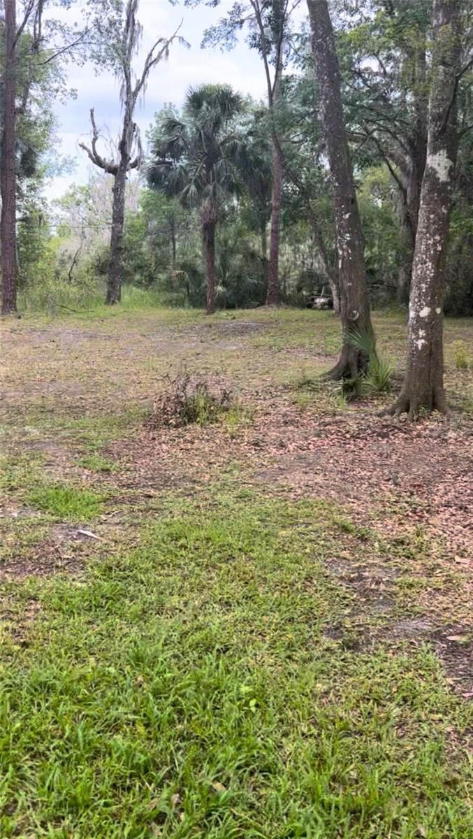 4520 E SADDLE CREEK FARM RD, LAKELAND, FL, 33801