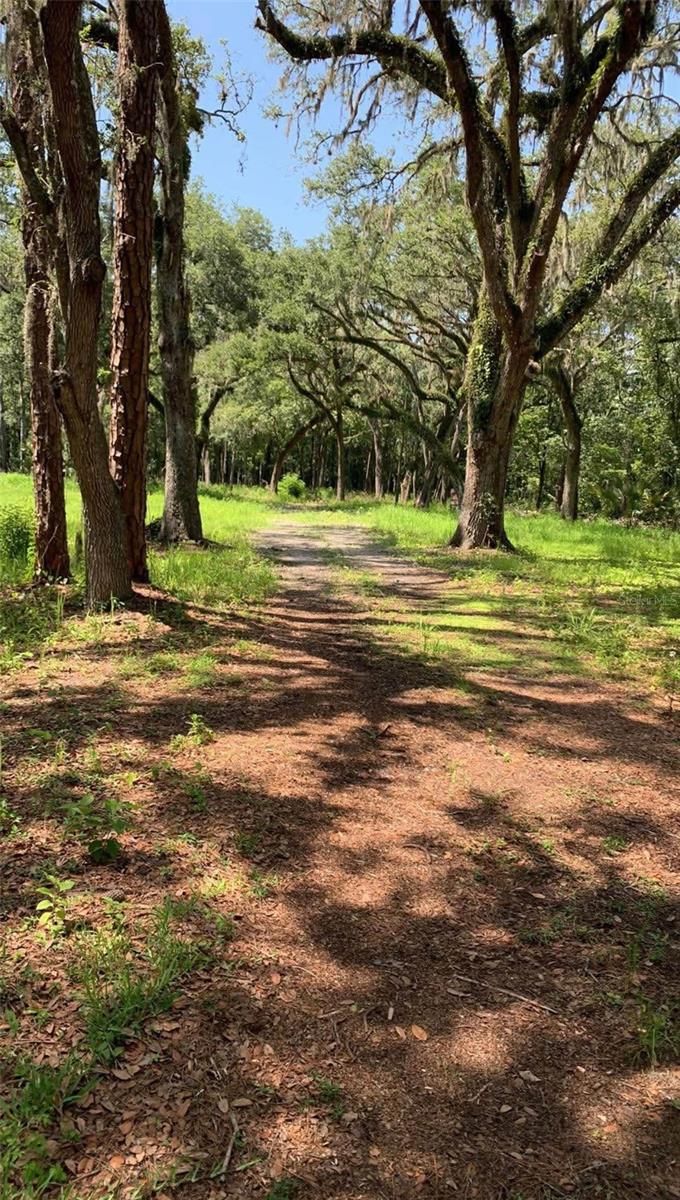 4520 E SADDLE CREEK FARM RD, LAKELAND, FL, 33801