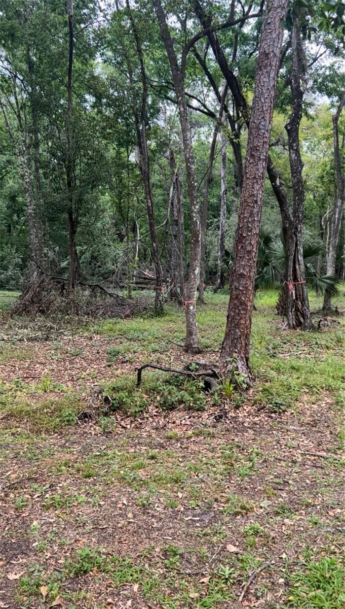 4520 E SADDLE CREEK FARM RD, LAKELAND, FL, 33801