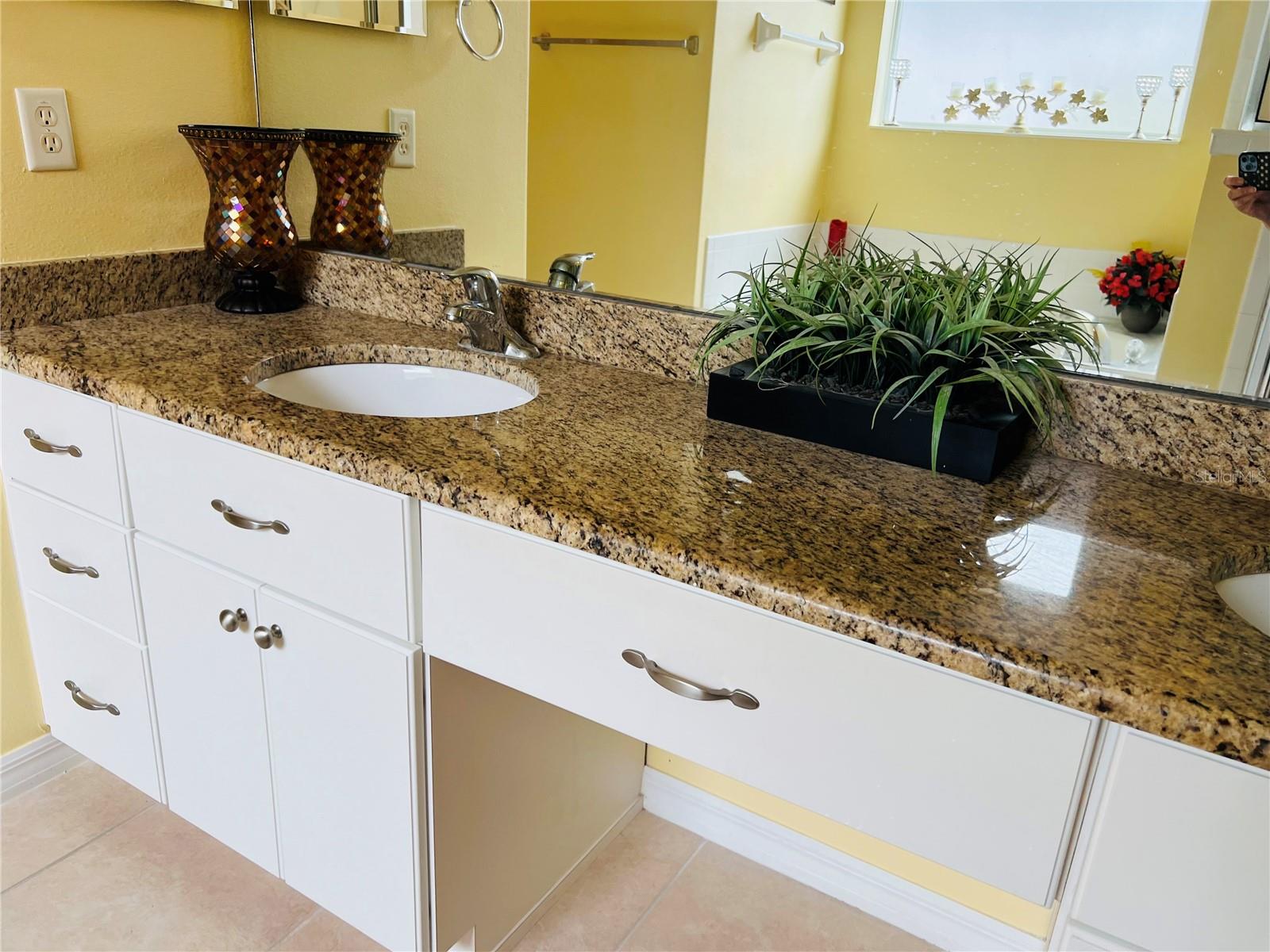 5446 SEA LEOPARD ST, TAVARES, FL, 32778