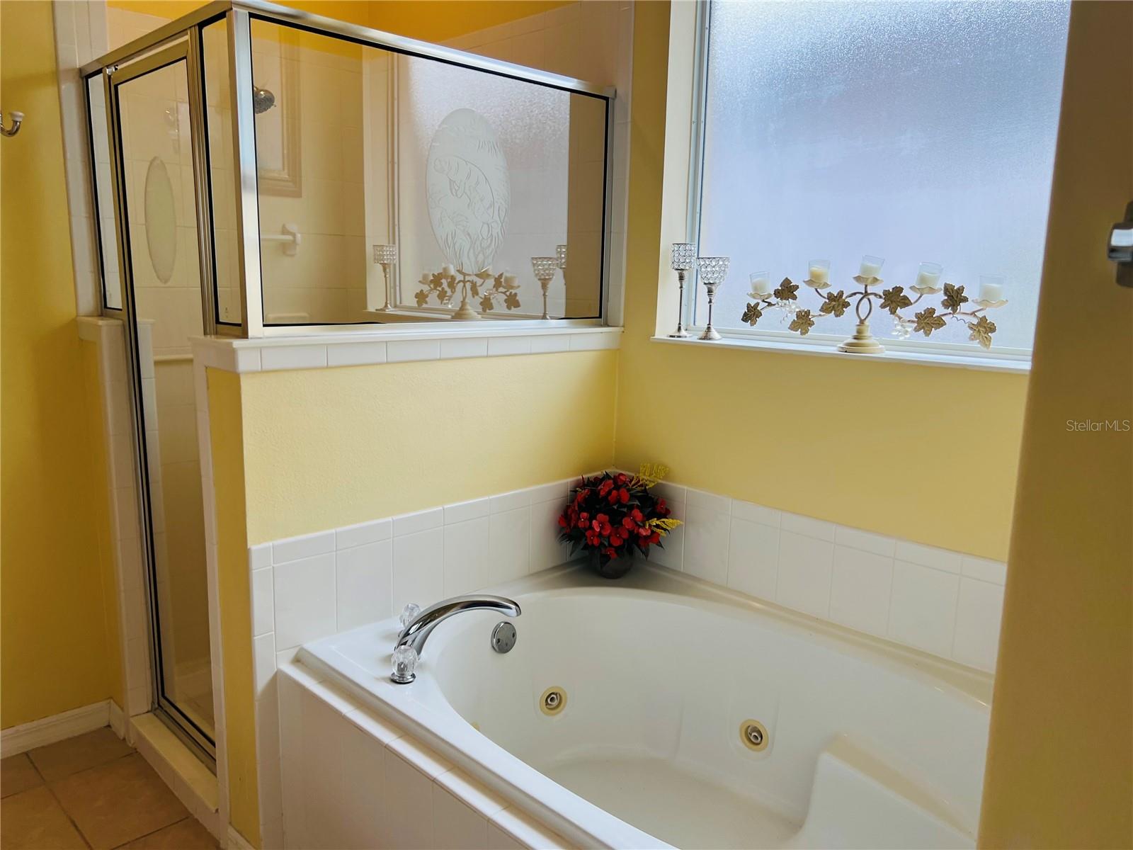 5446 SEA LEOPARD ST, TAVARES, FL, 32778