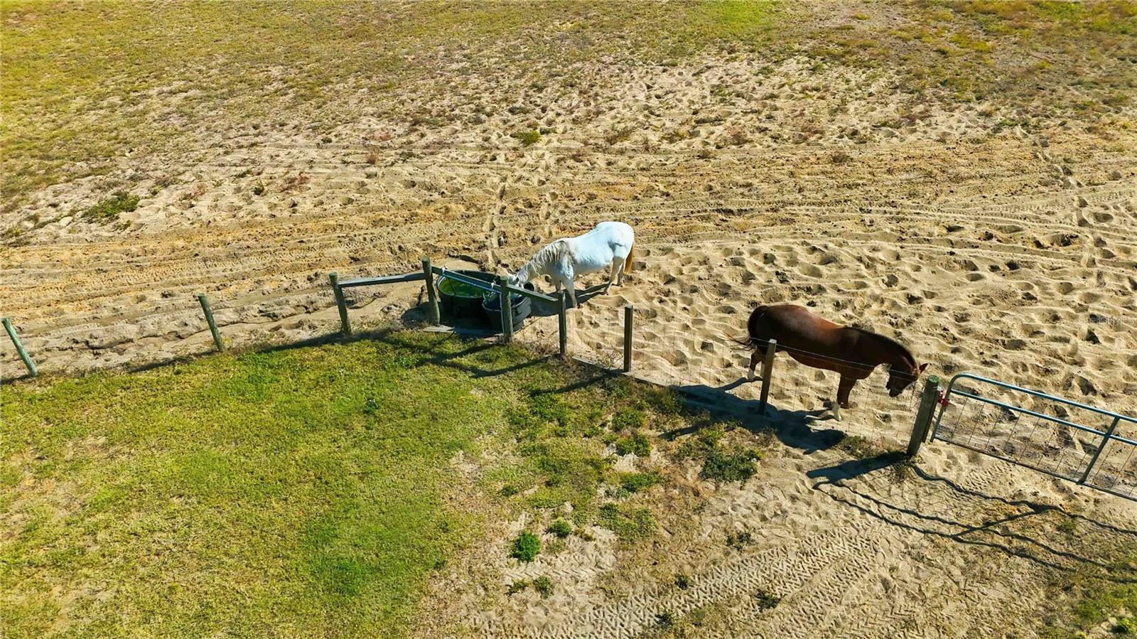 11714 FLYNN CT, WINTER GARDEN, FL, 34787