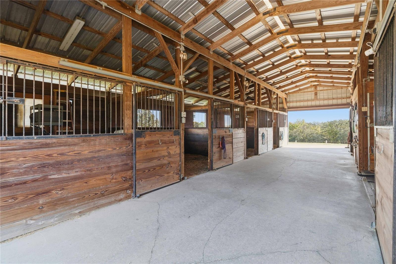 11714 FLYNN CT, WINTER GARDEN, FL, 34787