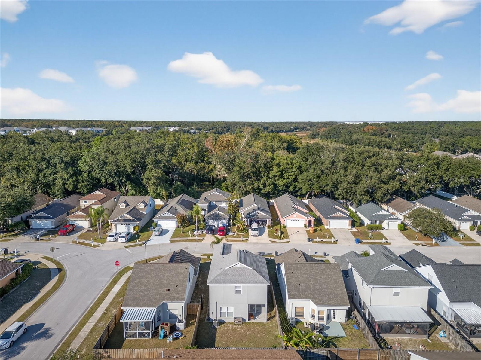 28632 SEASHELL CT, WESLEY CHAPEL, FL, 33545