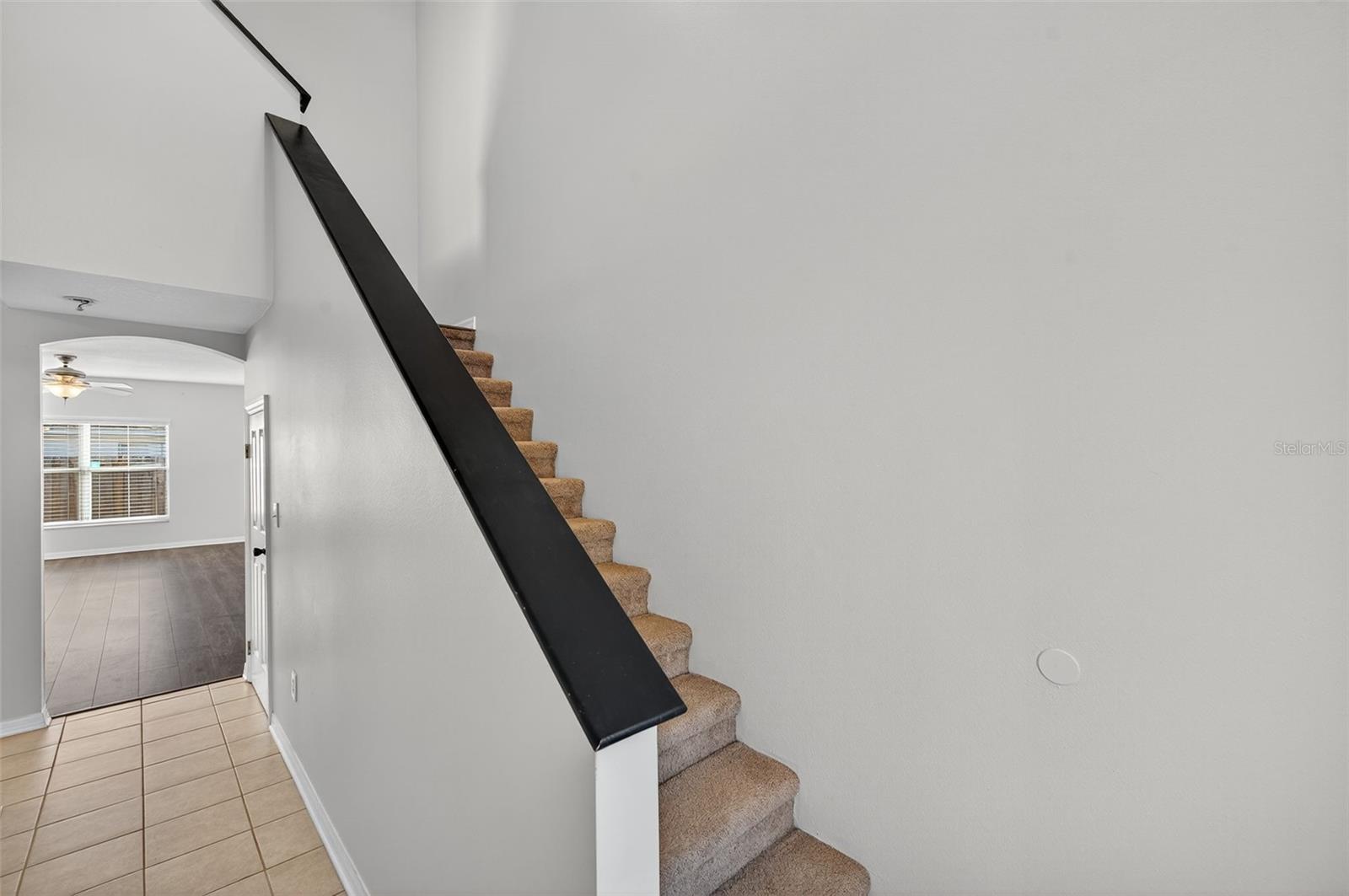 28632 SEASHELL CT, WESLEY CHAPEL, FL, 33545