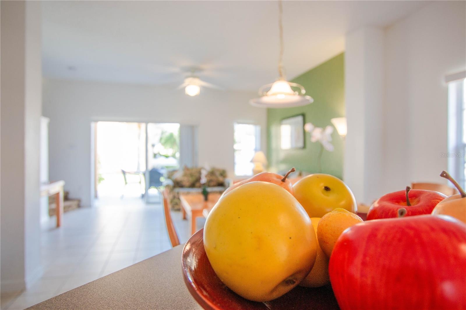 1145 PARK RIDGE CIR, KISSIMMEE, FL, 34746