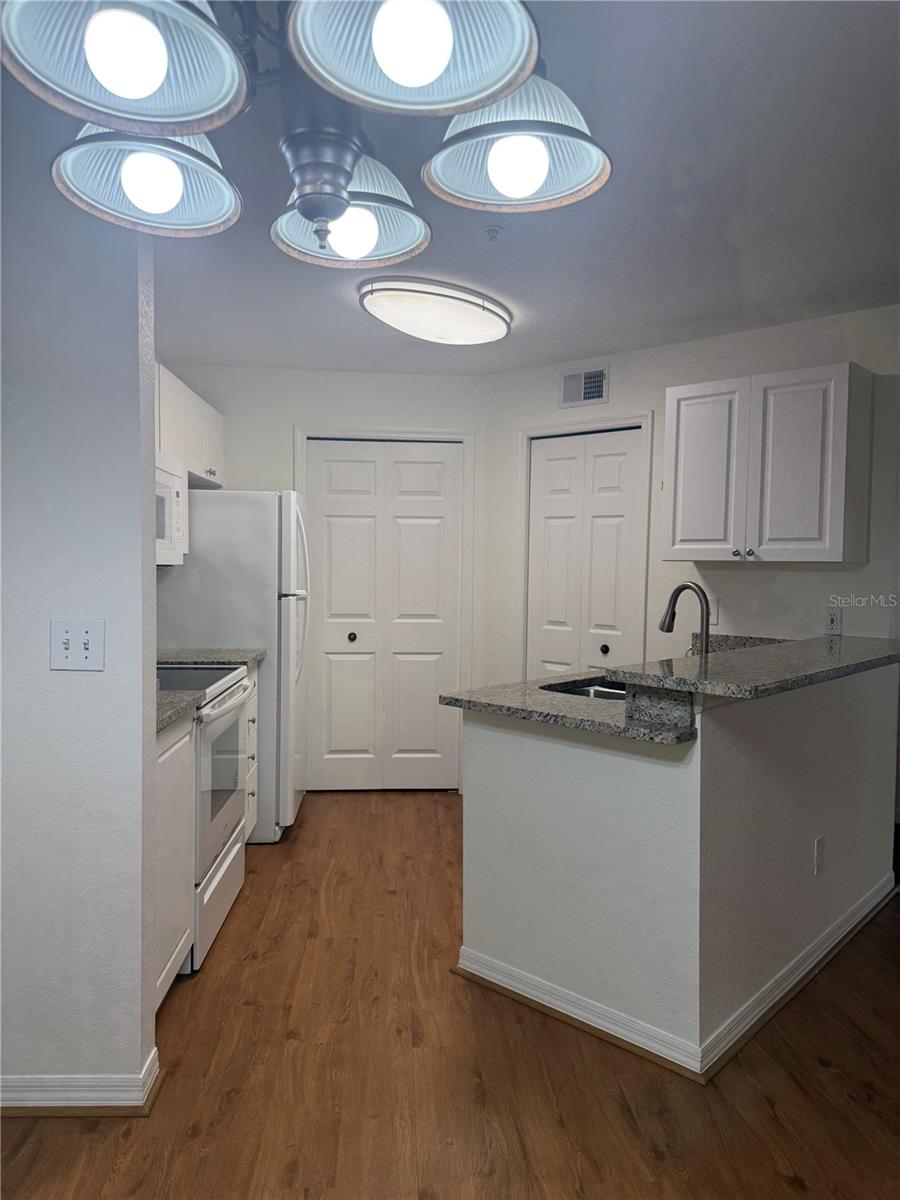 4201 WOODSTORKS WALK WAY #3206, LUTZ, FL, 33558