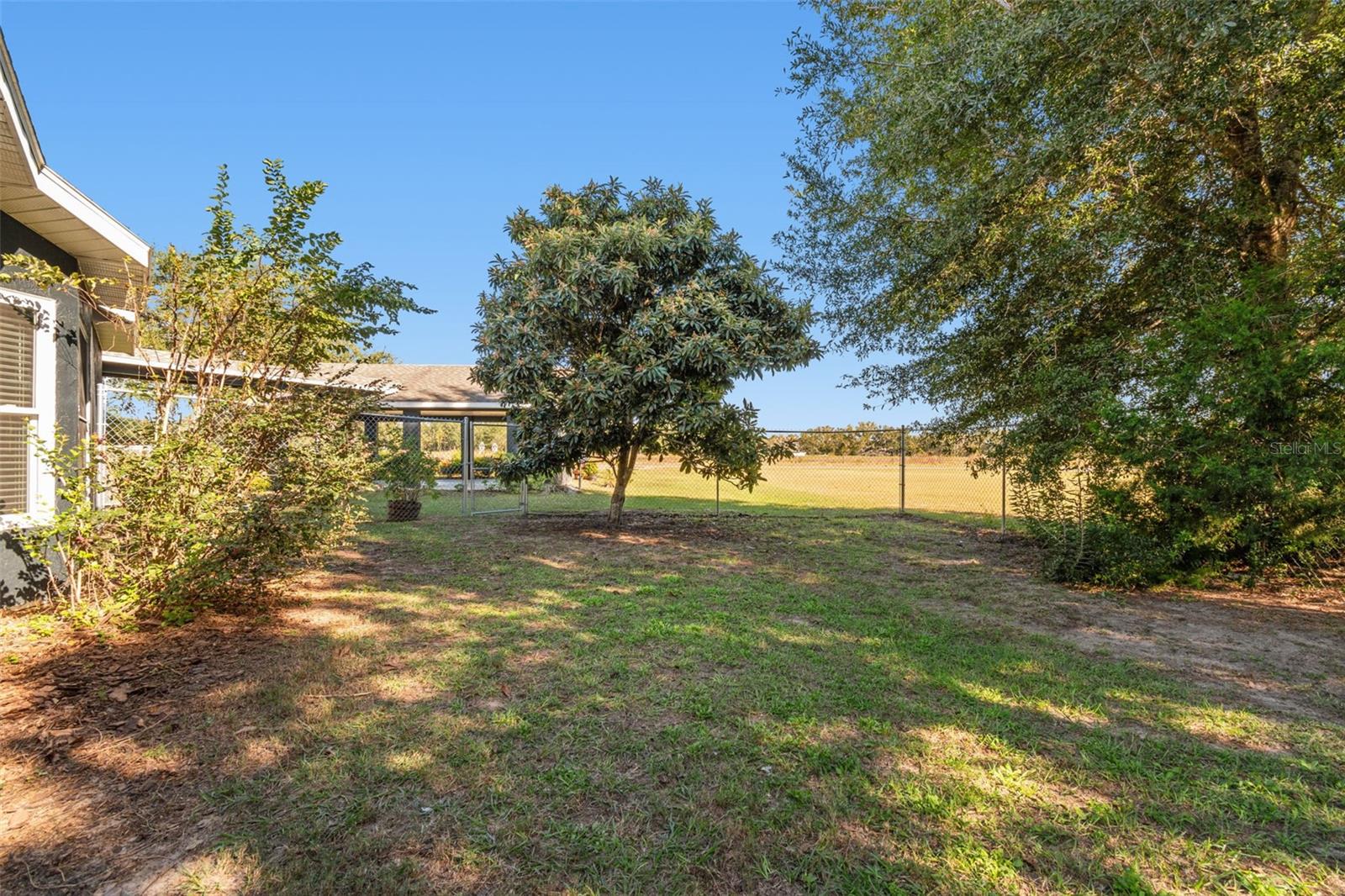 14721 SCHARBER RD, DADE CITY, FL, 33525