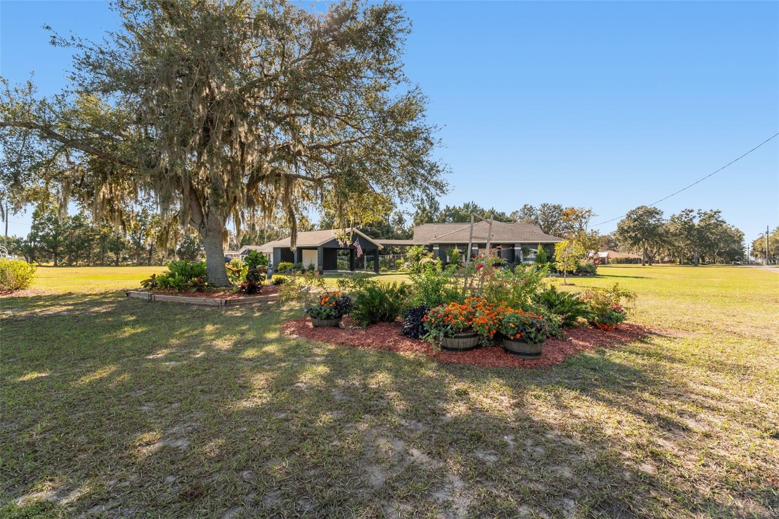 14721 SCHARBER RD, DADE CITY, FL, 33525