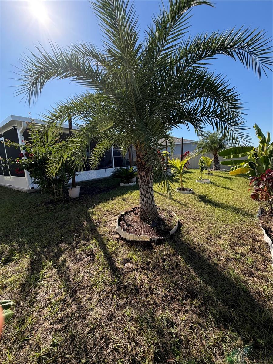 815 OFANTO WAY, HAINES CITY, FL, 33844