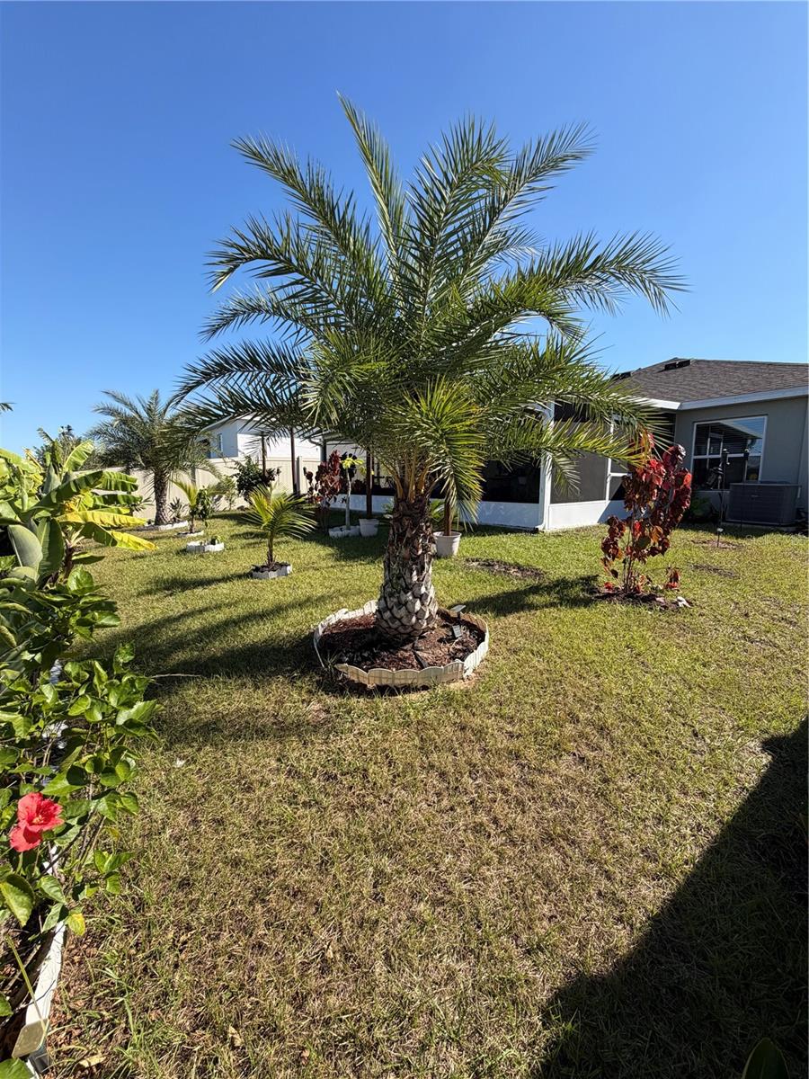 815 OFANTO WAY, HAINES CITY, FL, 33844