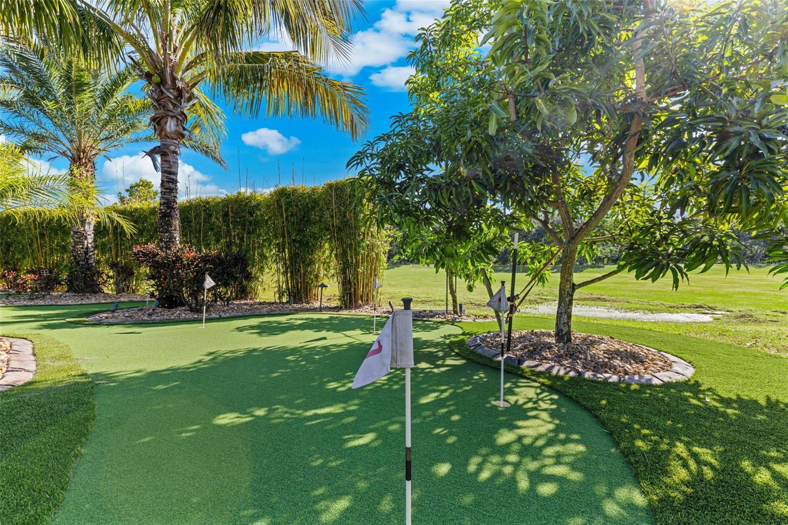 14554 BLACK LAKE PRESERVE ST, WINTER GARDEN, FL, 34787