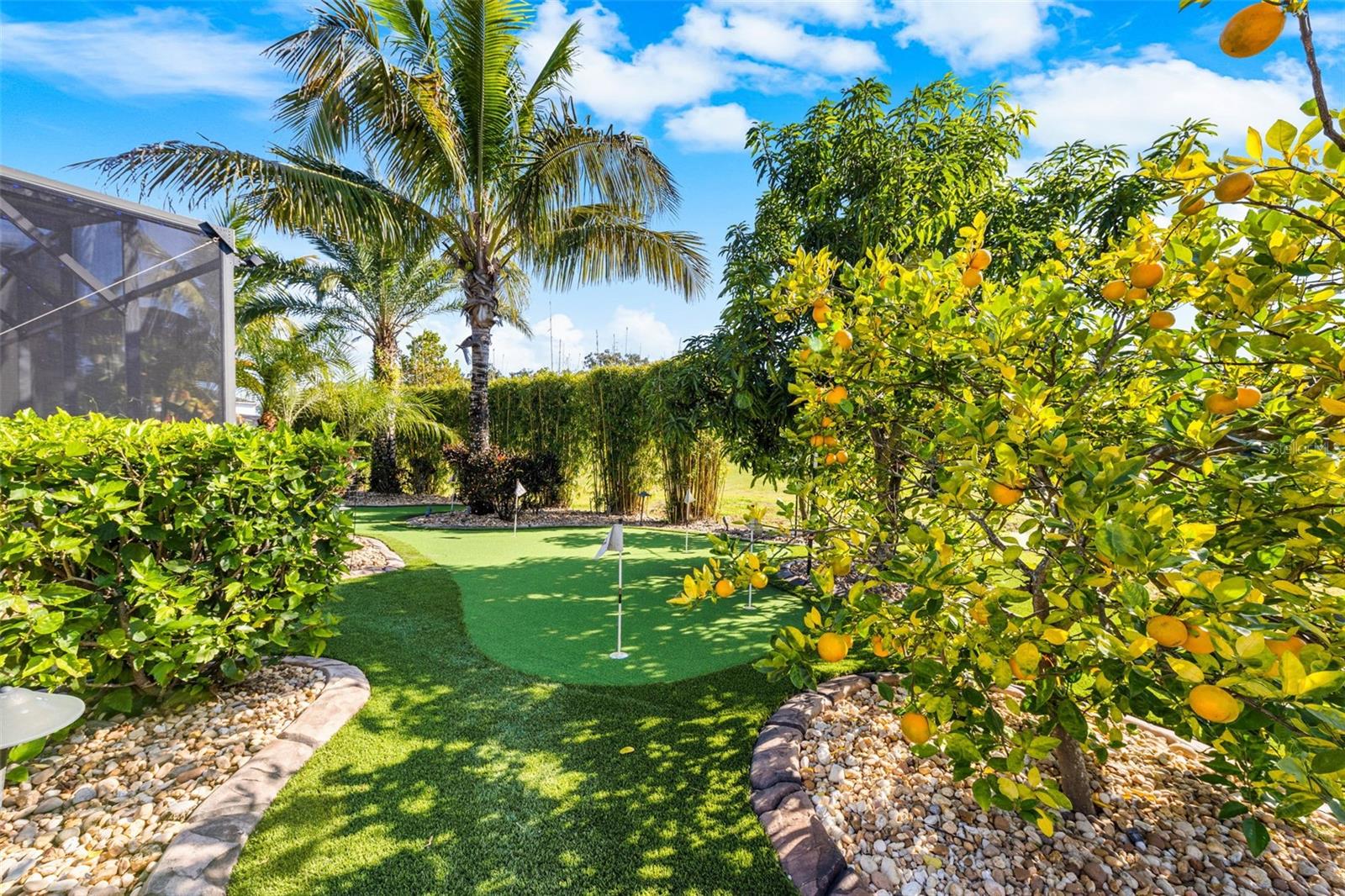 14554 BLACK LAKE PRESERVE ST, WINTER GARDEN, FL, 34787