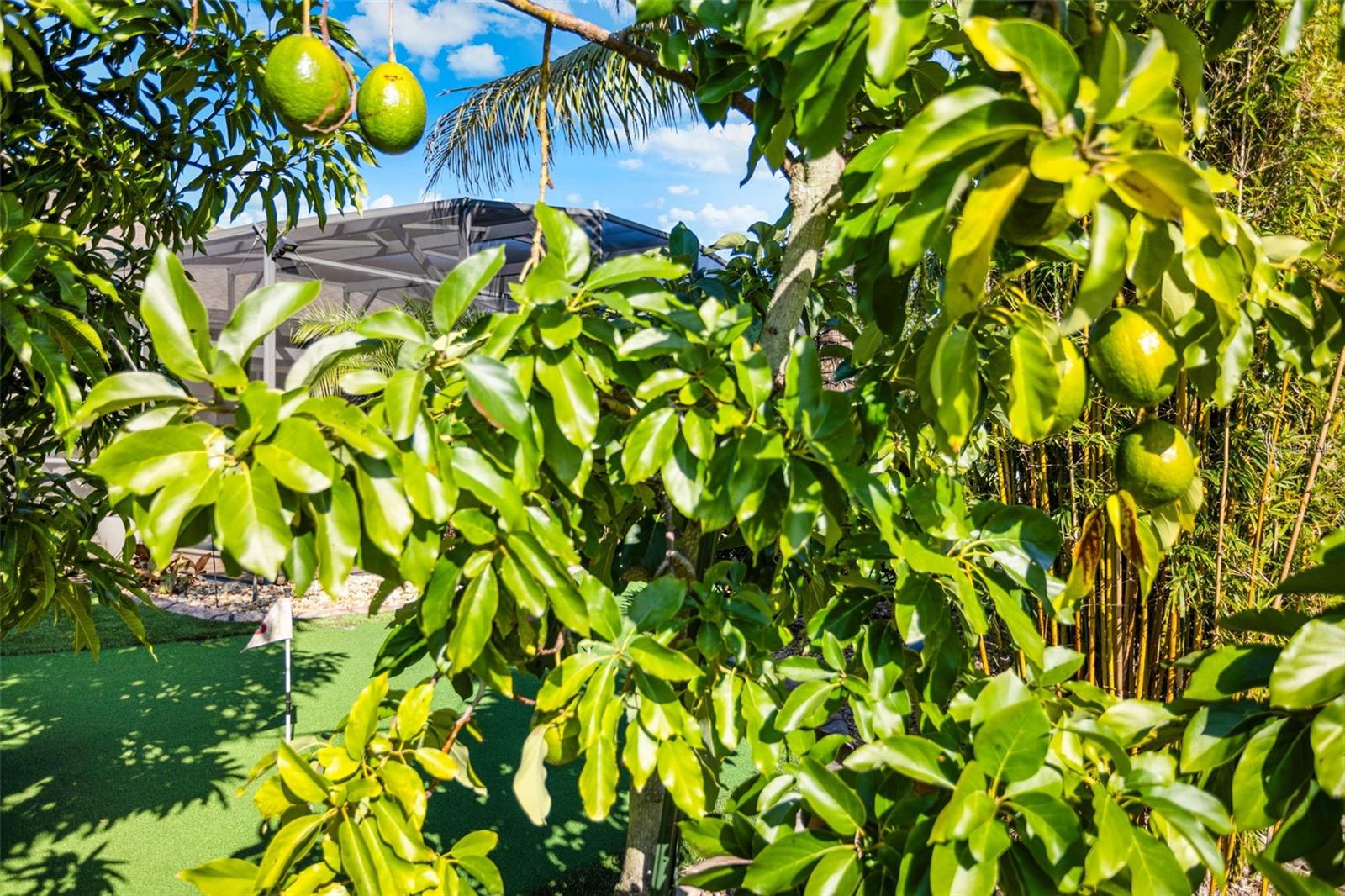 14554 BLACK LAKE PRESERVE ST, WINTER GARDEN, FL, 34787