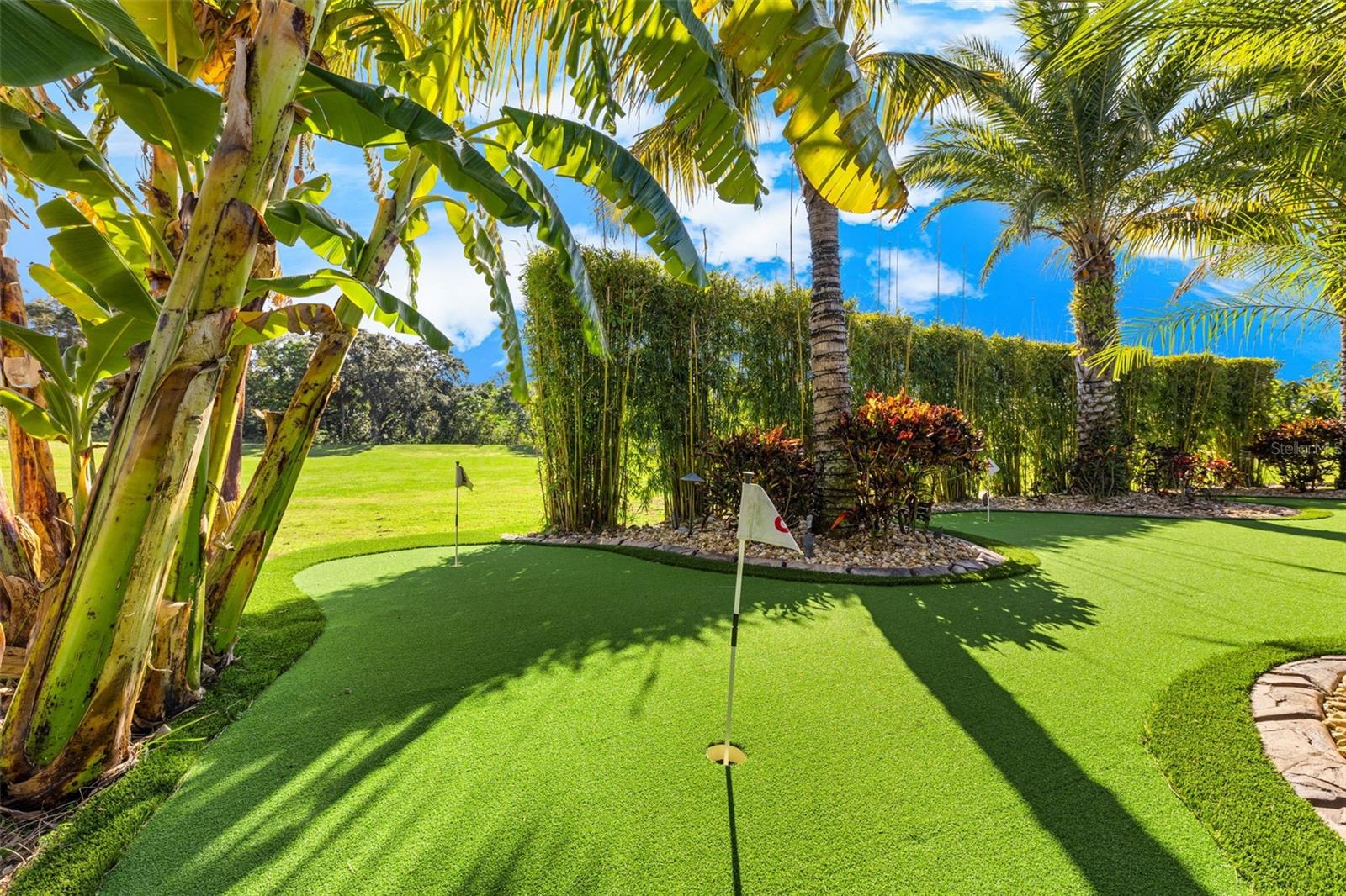 14554 BLACK LAKE PRESERVE ST, WINTER GARDEN, FL, 34787