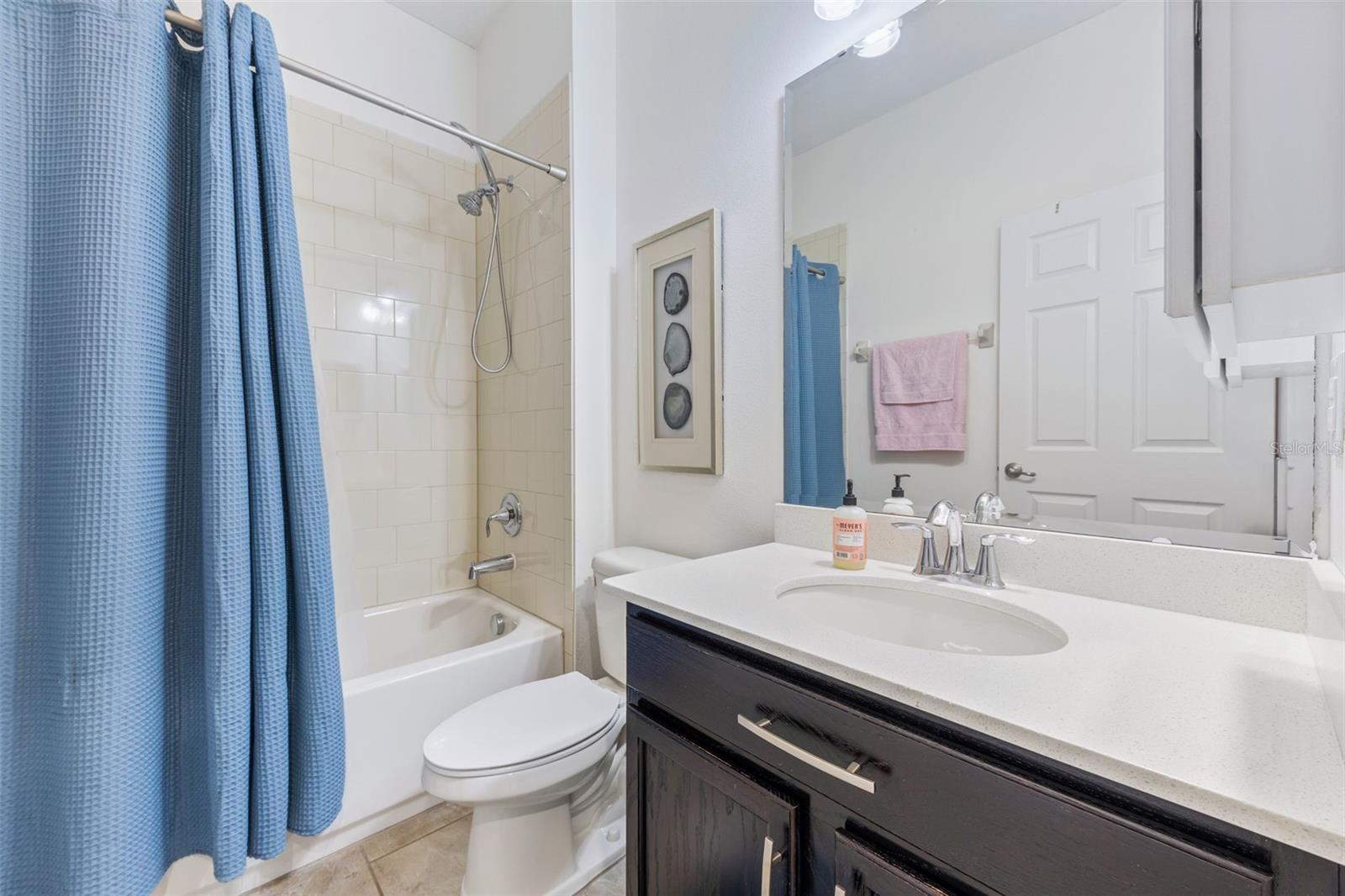 14554 BLACK LAKE PRESERVE ST, WINTER GARDEN, FL, 34787