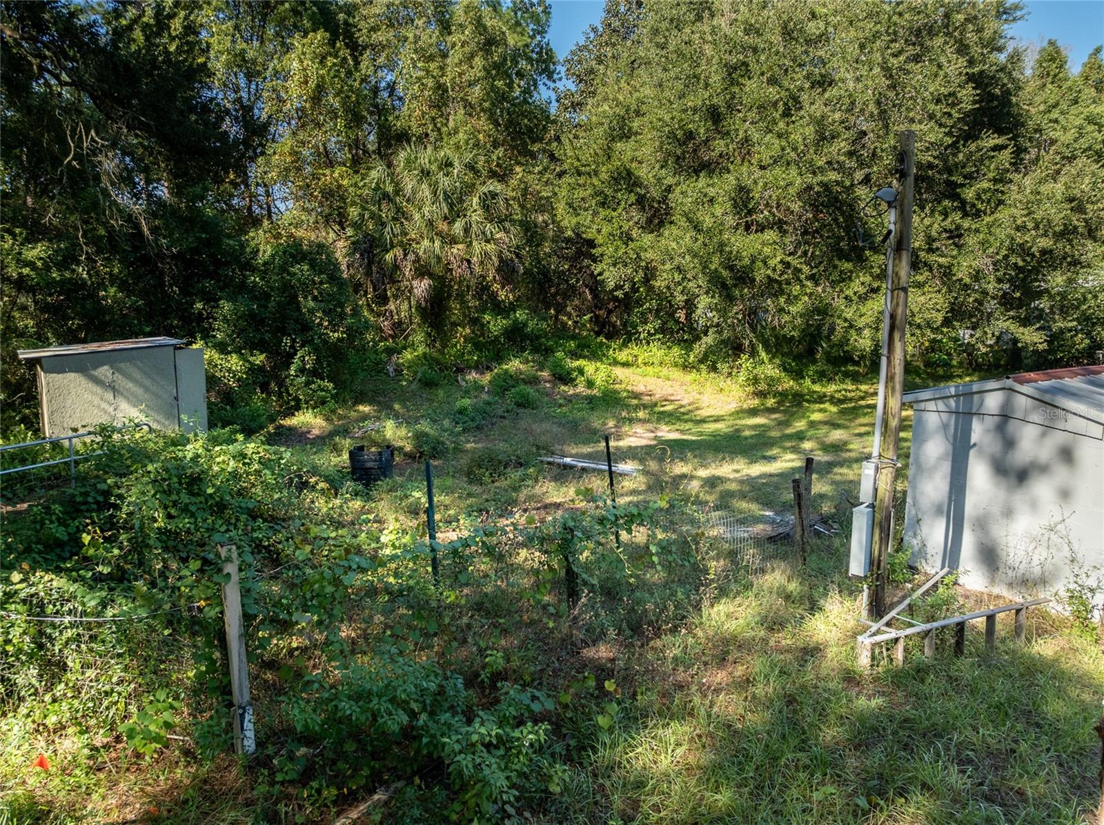 27726 LUELLA, PAISLEY, FL, 32767