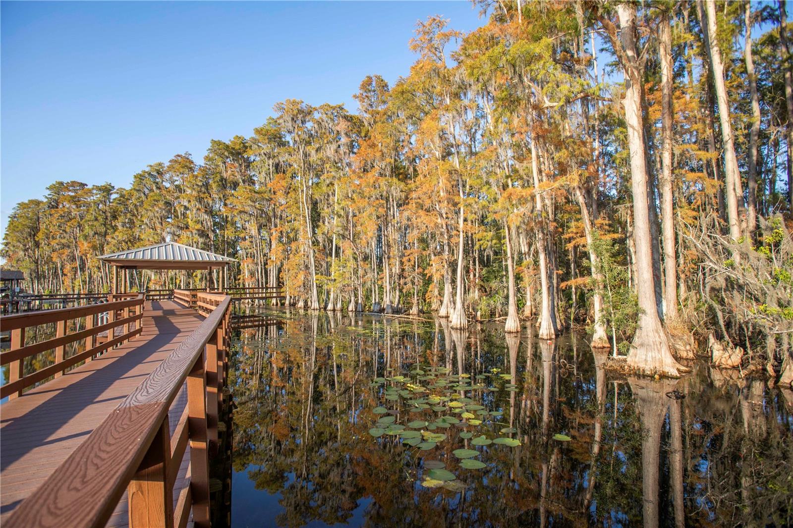 5703 GOLDEN OWL LOOP, LAND O LAKES, FL, 34638