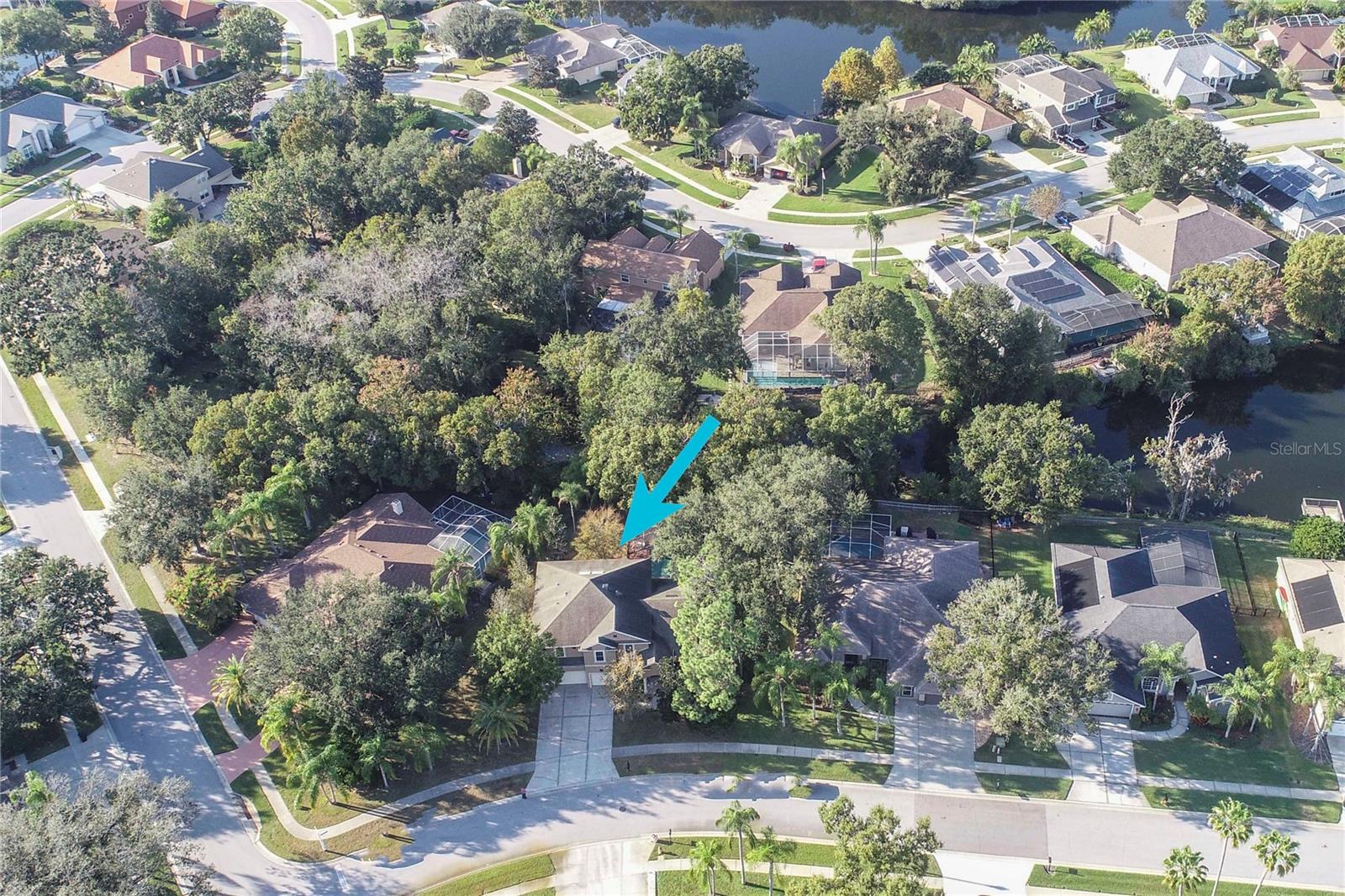 5703 GOLDEN OWL LOOP, LAND O LAKES, FL, 34638