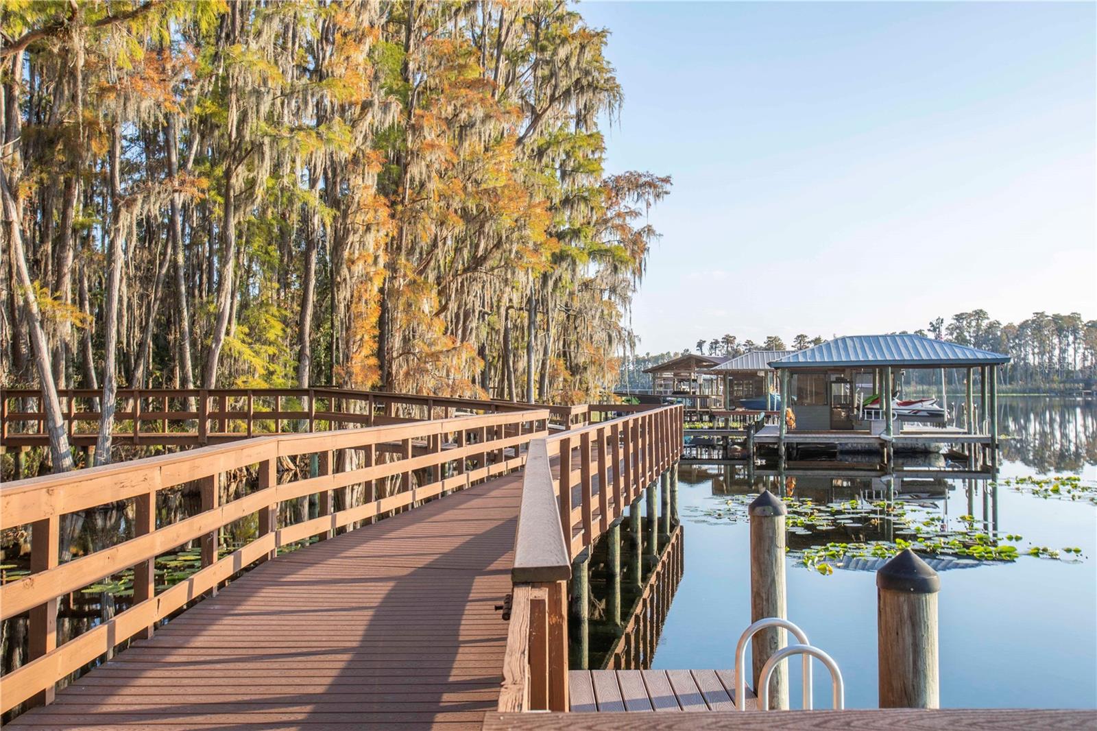 5703 GOLDEN OWL LOOP, LAND O LAKES, FL, 34638