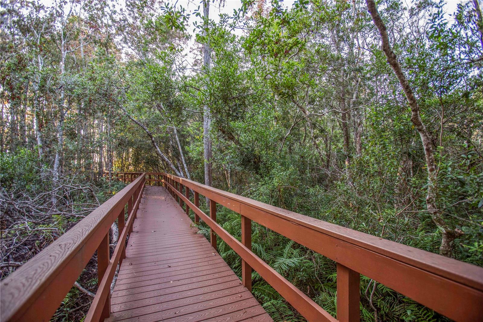 5703 GOLDEN OWL LOOP, LAND O LAKES, FL, 34638