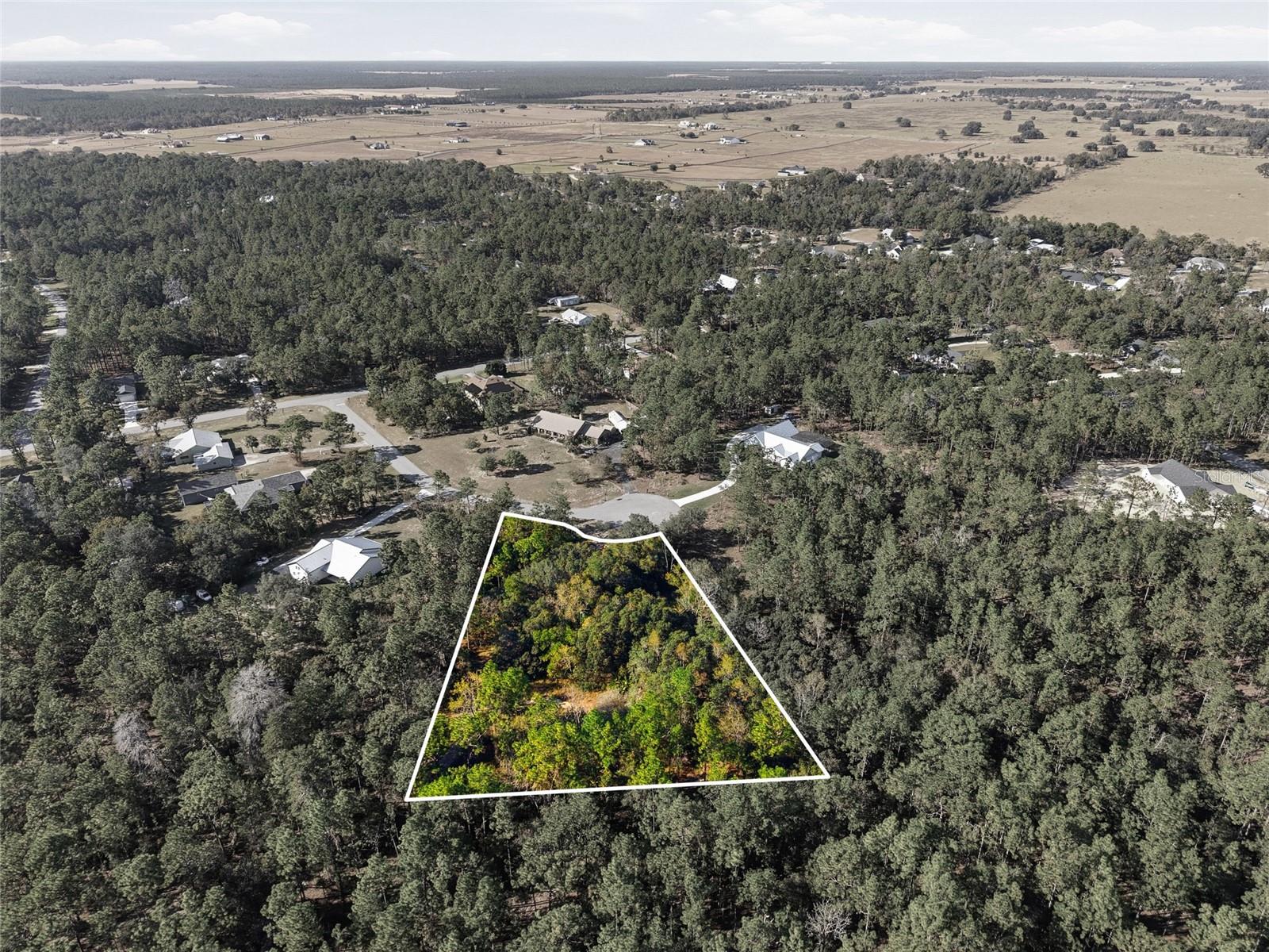 1811 COUNTY ROAD 243D, WILDWOOD, FL, 34785