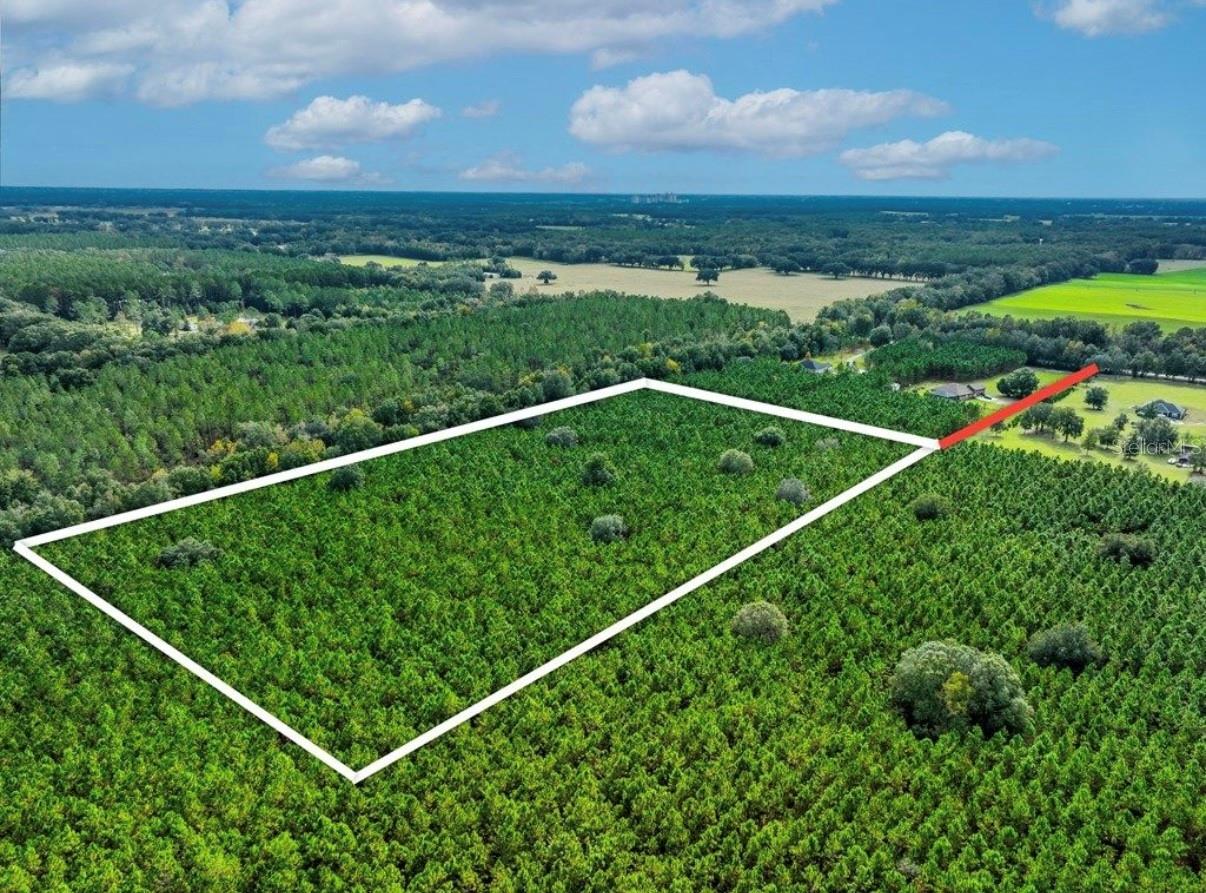 000 NW 78TH AVE, NEWBERRY, FL, 32669