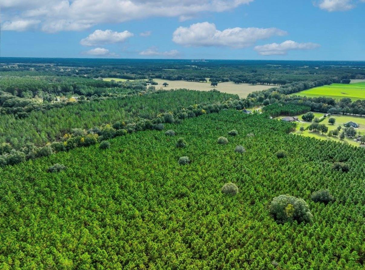 000 NW 78TH AVE, NEWBERRY, FL, 32669