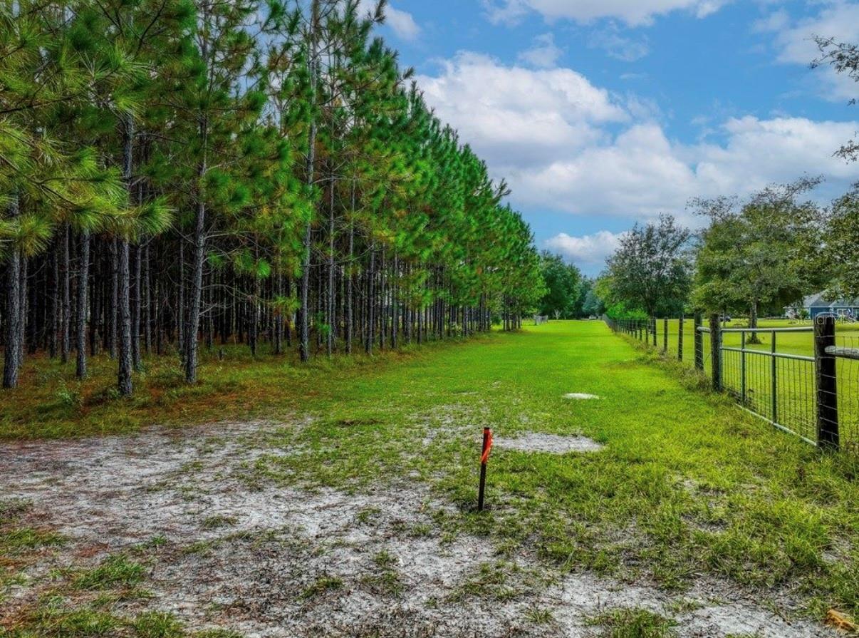 000 NW 78TH AVE, NEWBERRY, FL, 32669