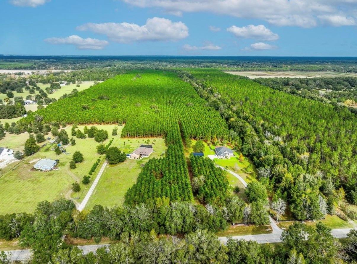 000 NW 78TH AVE, NEWBERRY, FL, 32669