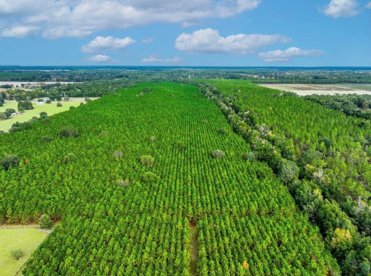 000 NW 78TH AVE, NEWBERRY, FL, 32669