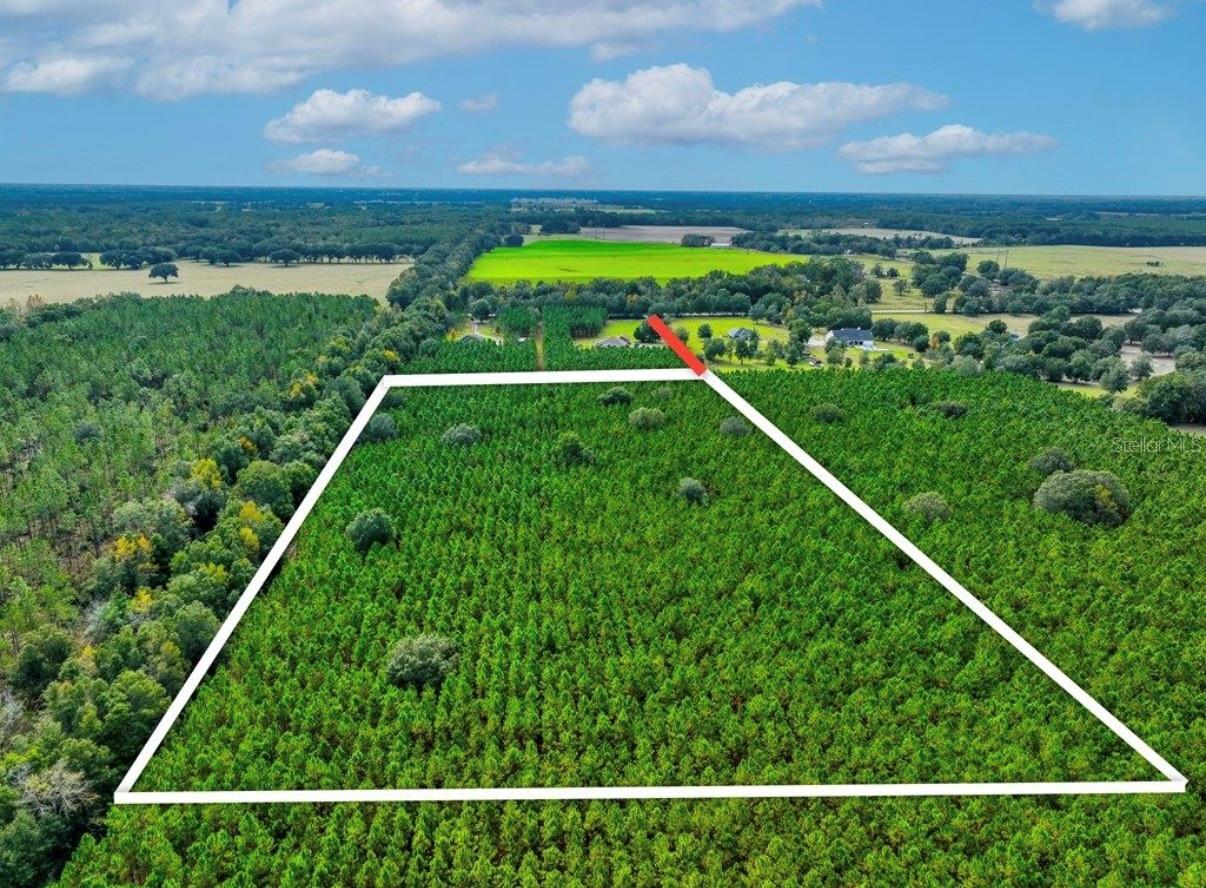 000 NW 78TH AVE, NEWBERRY, FL, 32669