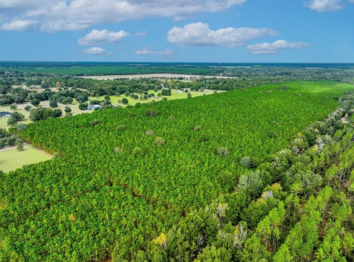 000 NW 78TH AVE, NEWBERRY, FL, 32669