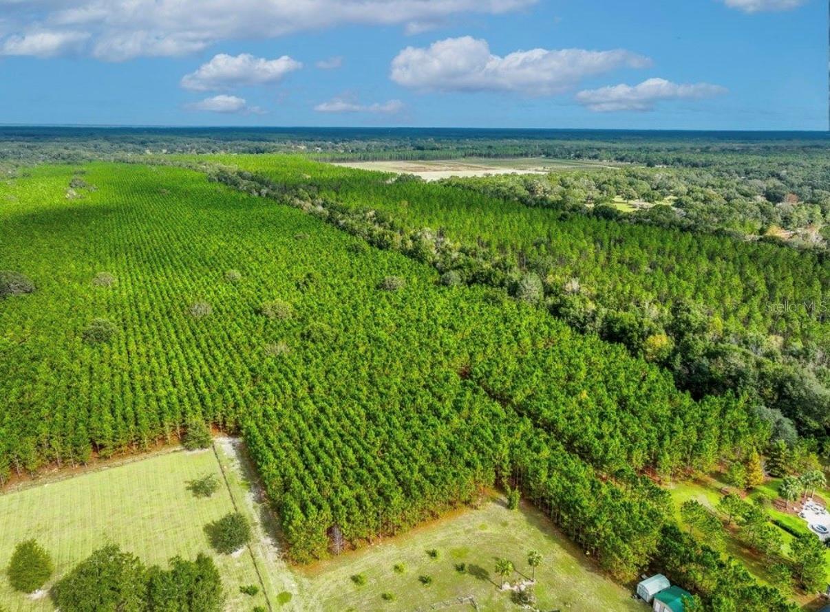 000 NW 78TH AVE, NEWBERRY, FL, 32669