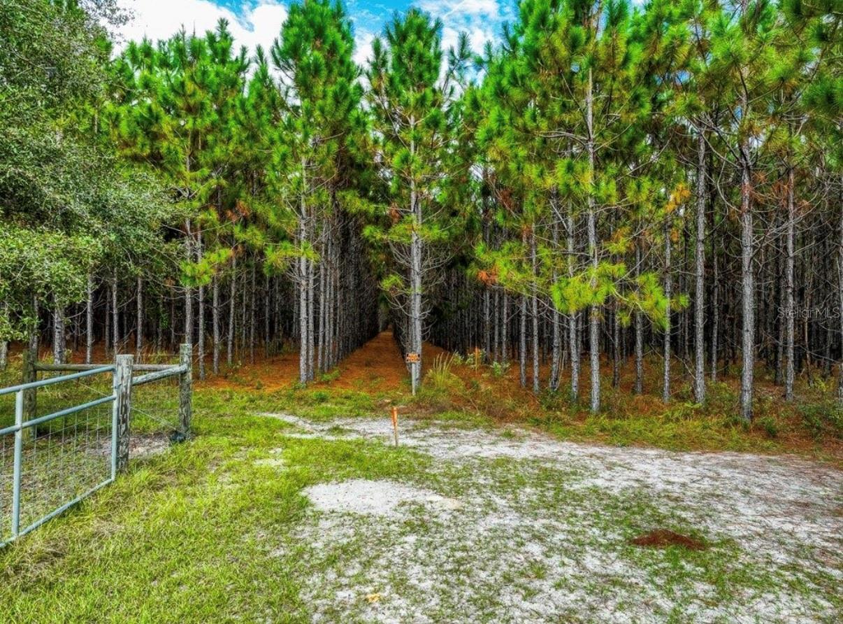 000 NW 78TH AVE, NEWBERRY, FL, 32669