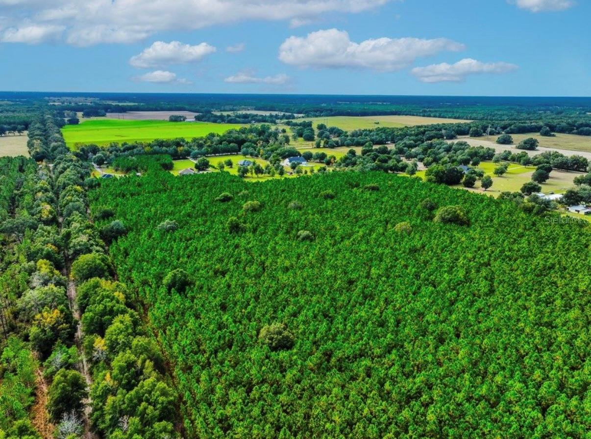 000 NW 78TH AVE, NEWBERRY, FL, 32669