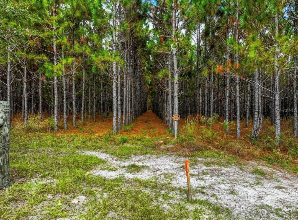 000 NW 78TH AVE, NEWBERRY, FL, 32669