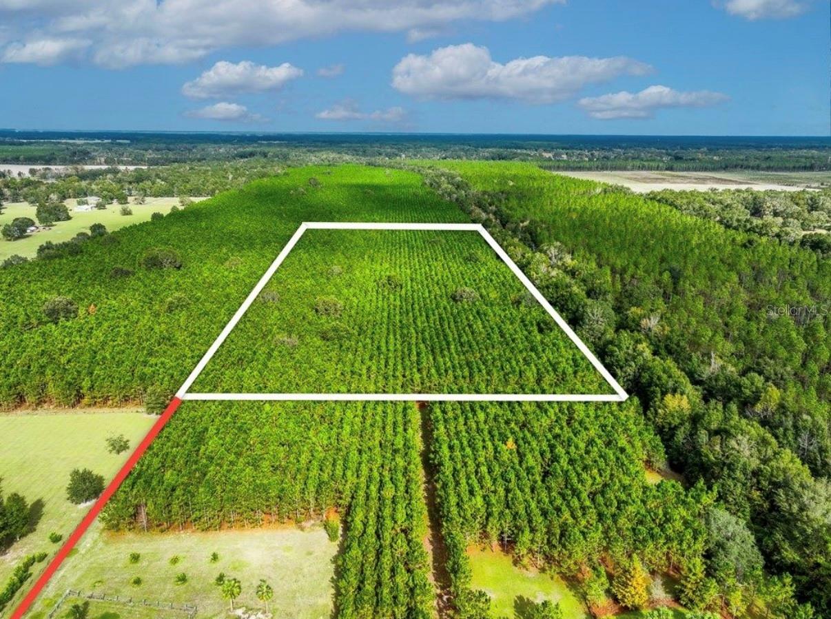 000 NW 78TH AVE, NEWBERRY, FL, 32669