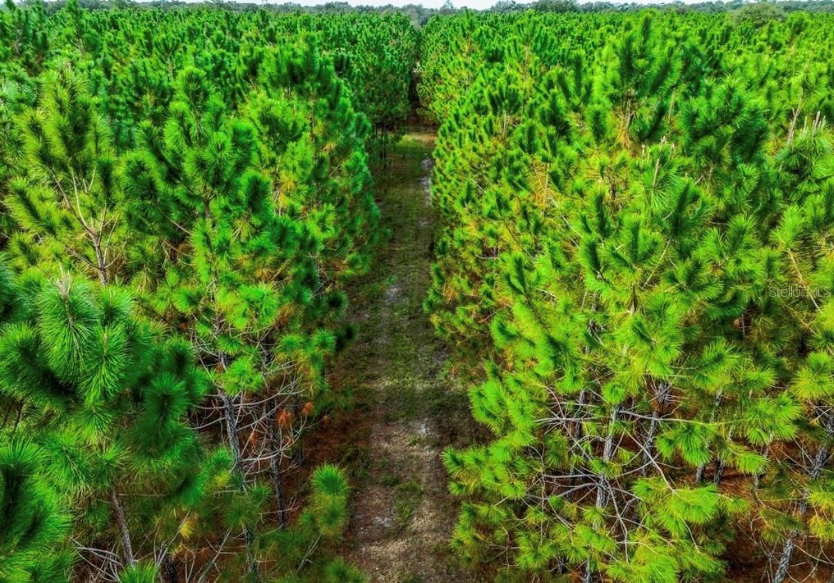 000 NW 78TH AVE, NEWBERRY, FL, 32669